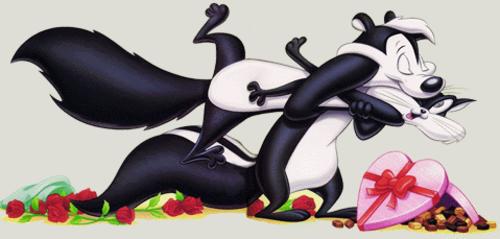 romantic skunks.jpg