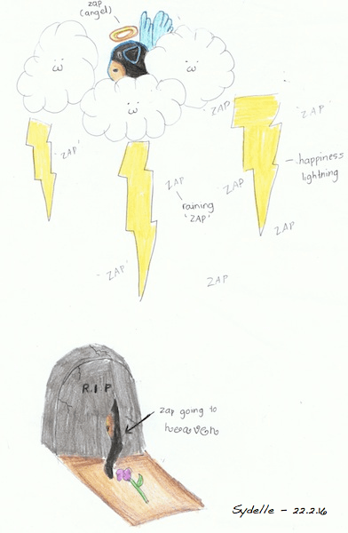 Sydelle's drawing_tribute to Zap.jpg