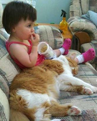 toddler and cat