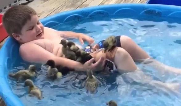 boy with ducklings