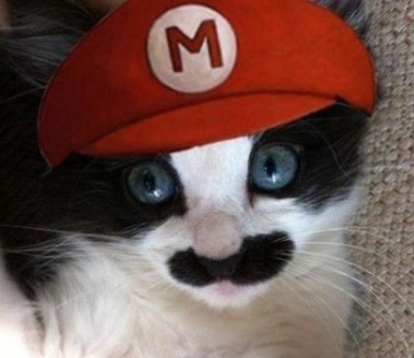 cat with mustache
