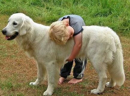 boy hugging dog