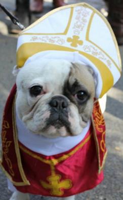 dog priest