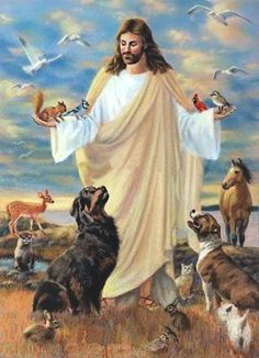 jesus and our beloved dogs