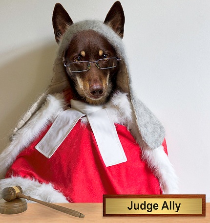 judge ally