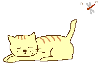 animated-cat-image-0411