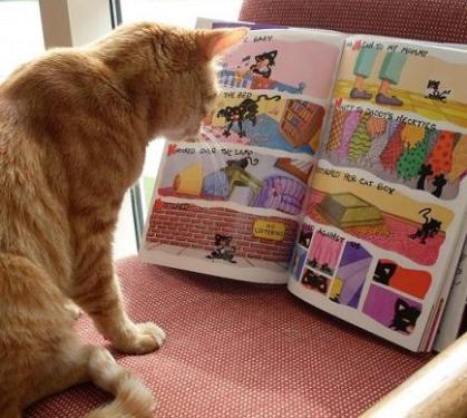 cat reading comic