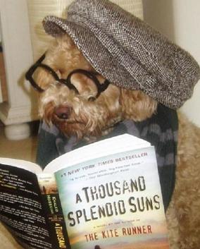 dog reading the kite runner