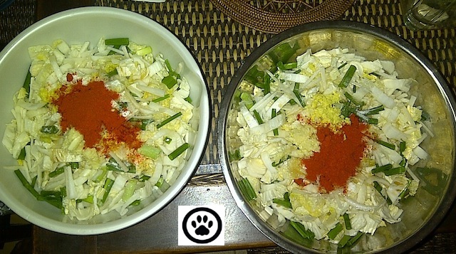 mix-in ginger, garlic, chilli, sugar & salt