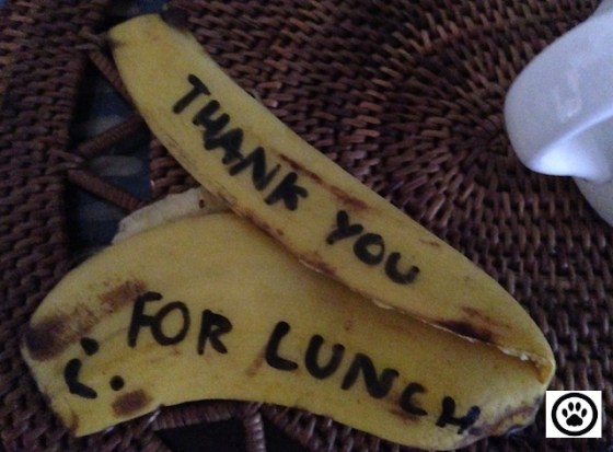 thanks for lunch.jpg