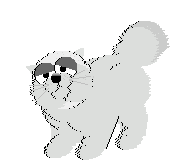 animated-cat-image-0057