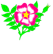 animated-flower-image-0178