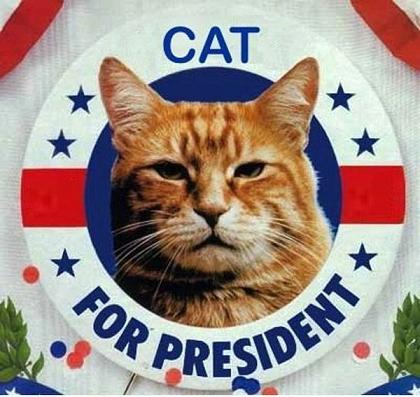 cat-president