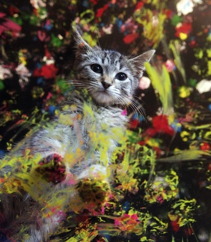 cat painting