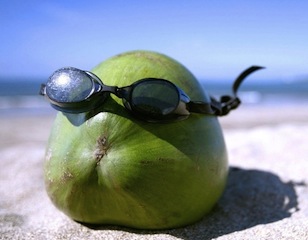 funny coconut