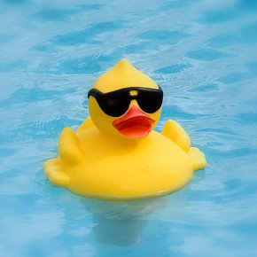rubber ducky