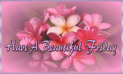 244399-have-a-beautiful-friday