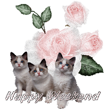 ace6423d95fd430ce3fb85259875ce48