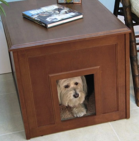 cute dog crate-2.jpg