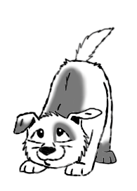 cute-dog-wagging-tail-color