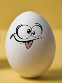 funny egg