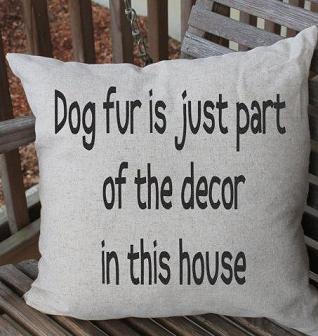 funny pillow.jpg