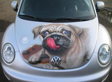 pug on a bug