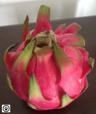dragon fruit-1
