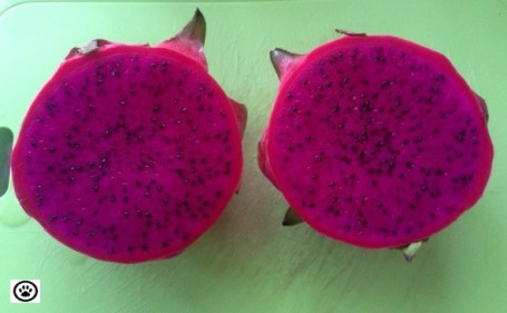 dragon fruit-2.jpg
