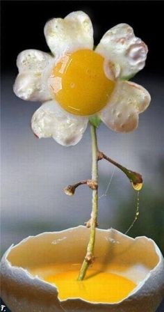 flower egg.jpg