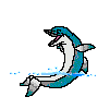 animated-dolphin-image-0126