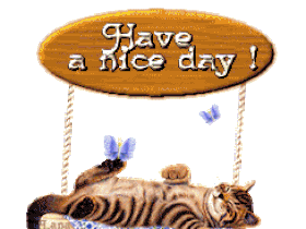 haveanicedaykittenswing