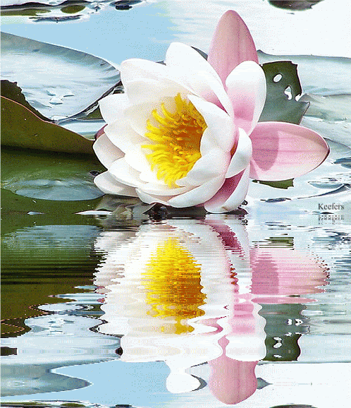 1dda0aef02245e8bc644b07a288ff7551