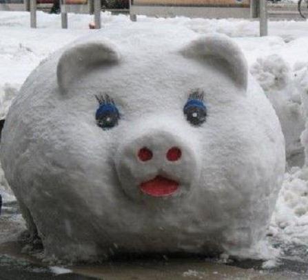 snow pig