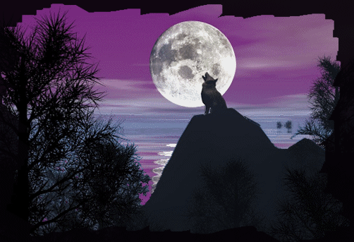 animated-wolf-wolves-8518648-502-343