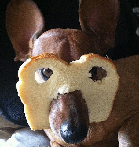 bread mask