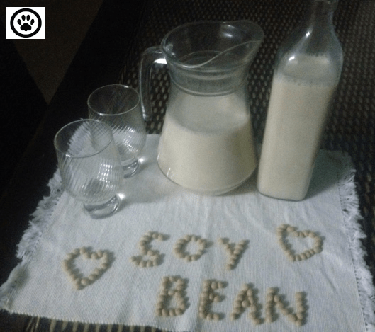 homemade soymilk