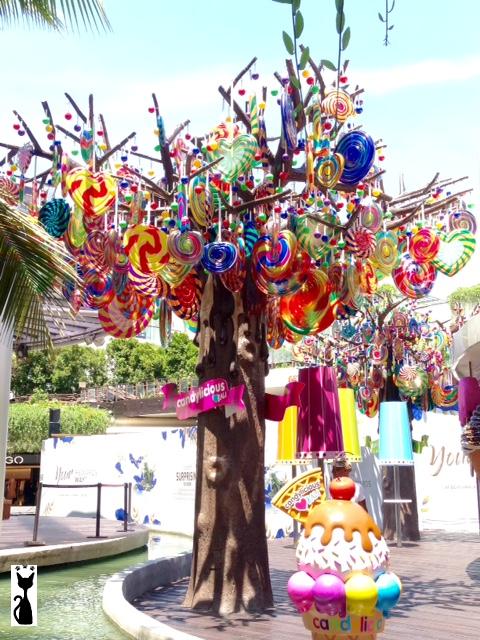 candy tree
