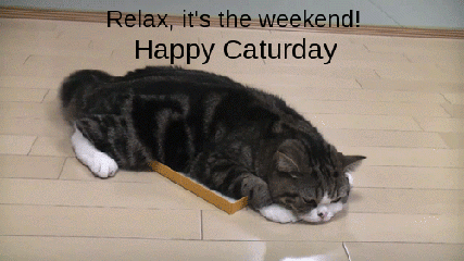 relax-caturday