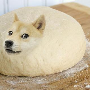 dog in dough