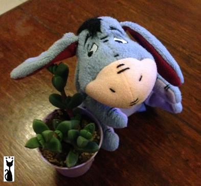 eeyore