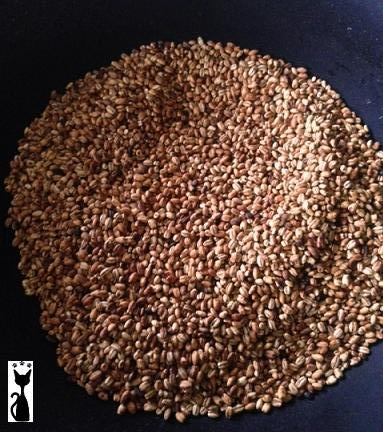 roasted-barley1.jpg