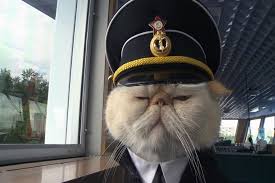 cat captain-1