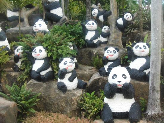 cute pandas at botanical garden
