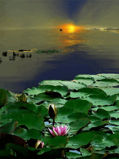 c6dca0a5d883fd56a2e92db68804da7e