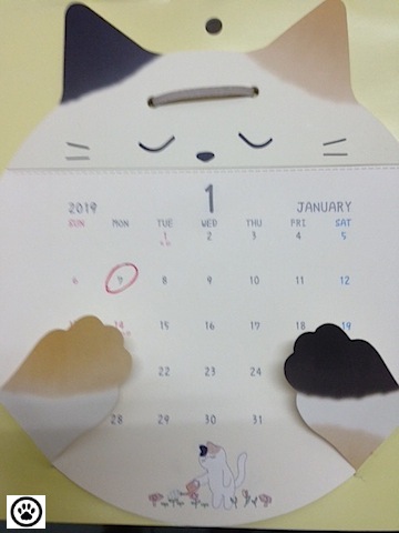 cat calendar