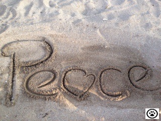 peace