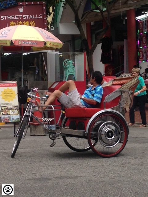 trishaw