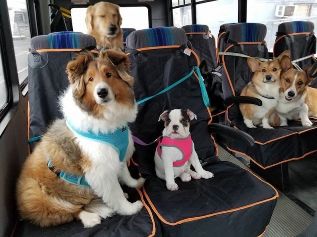 bus ride
