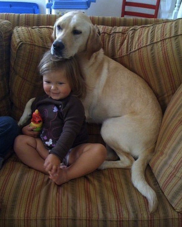 cute lab with kid